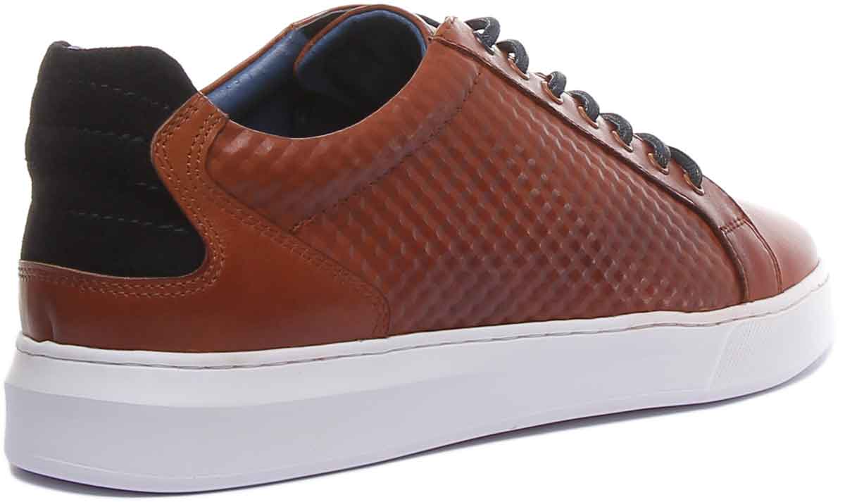 Justin Reece England Prince In Brown - Image 3